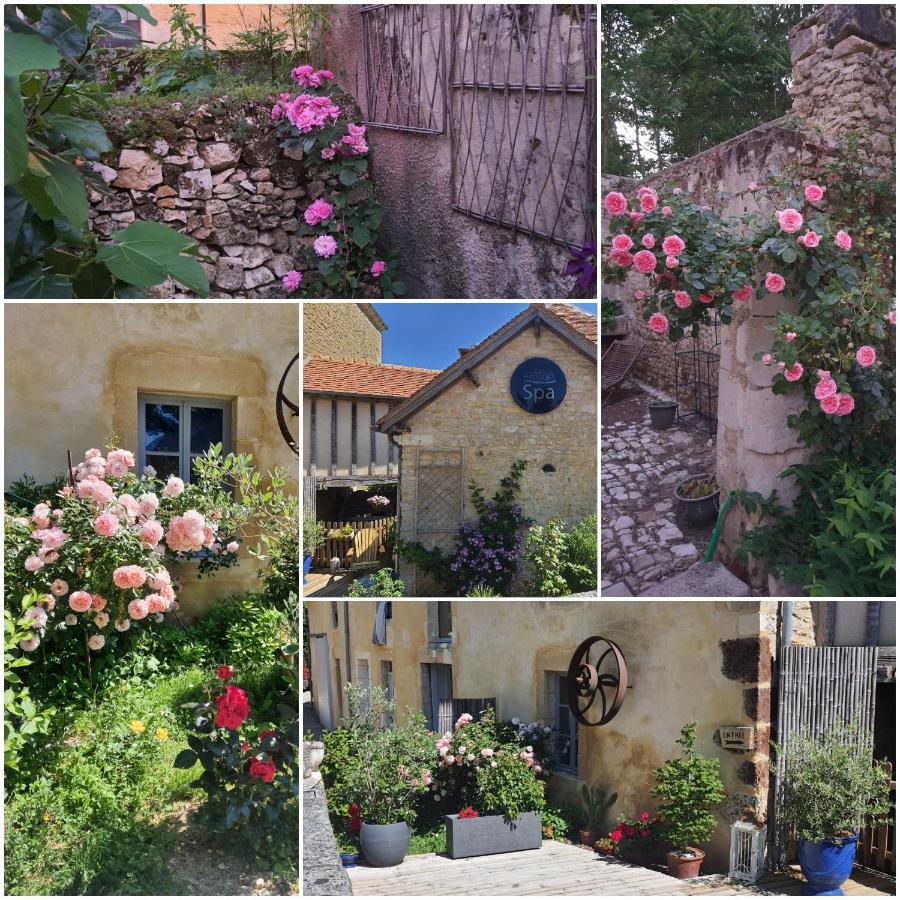 Gite Du Moulin De Barutel Mamers,Avec Spa Et Hammam Sur Reservation Payant ภายนอก รูปภาพ